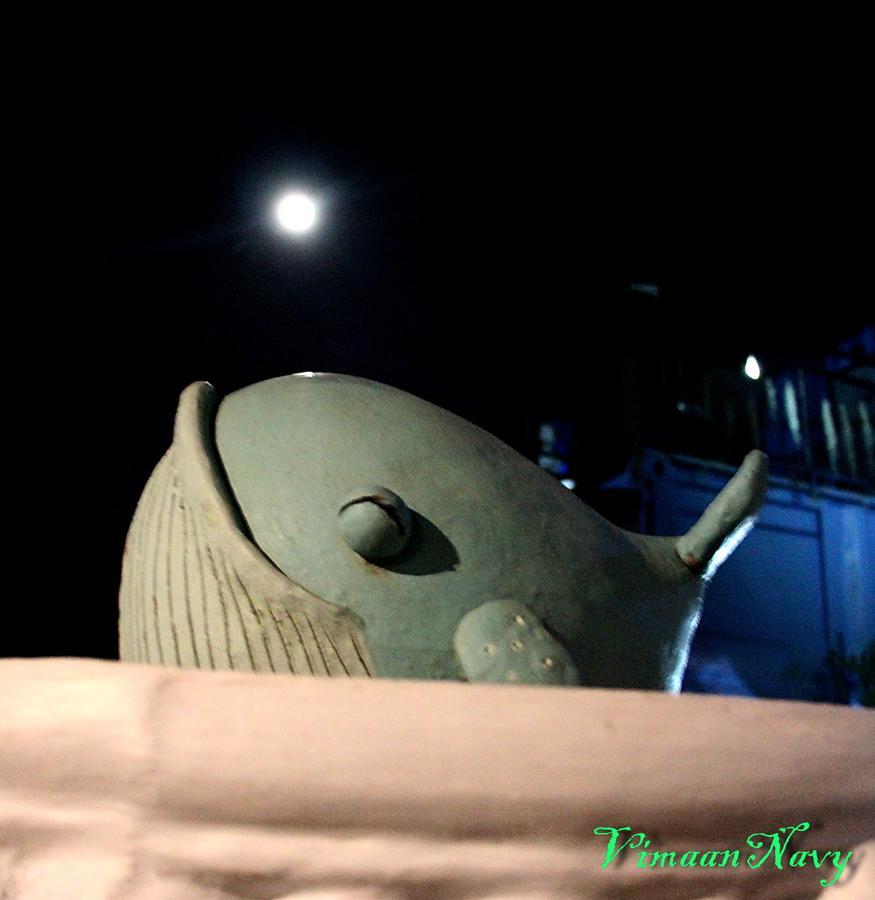 Vimaannavy Resort Бан Чанг Екстериор снимка